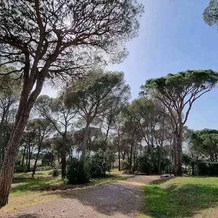 Апартаменты Chez K&d Zen 2 Сен-Рафаэль